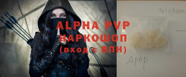сатива Аркадак