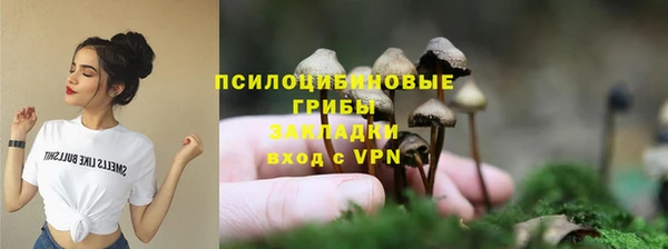 гашик Армянск