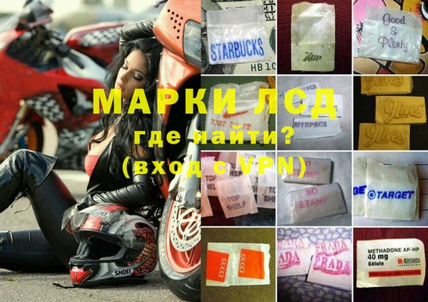 сатива Аркадак