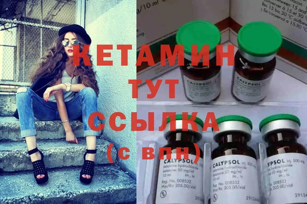 сатива Аркадак