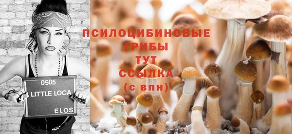 сатива Аркадак