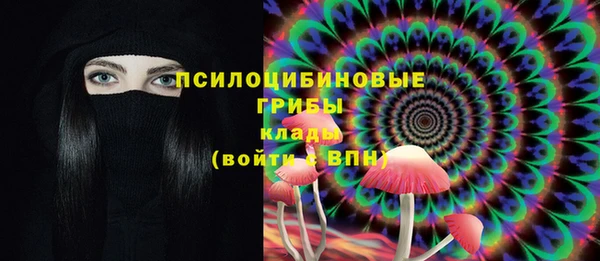 сатива Аркадак